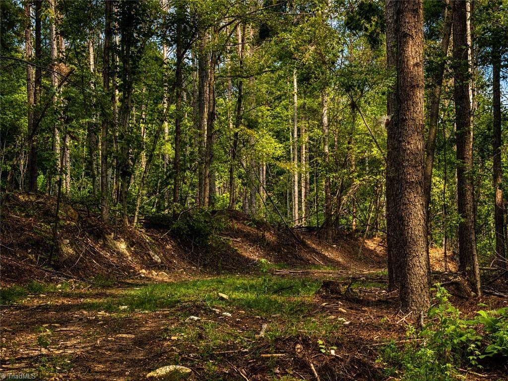 Unimproved Land at 0 Jennings Road, Randleman NC 27317, photo 6 of 35