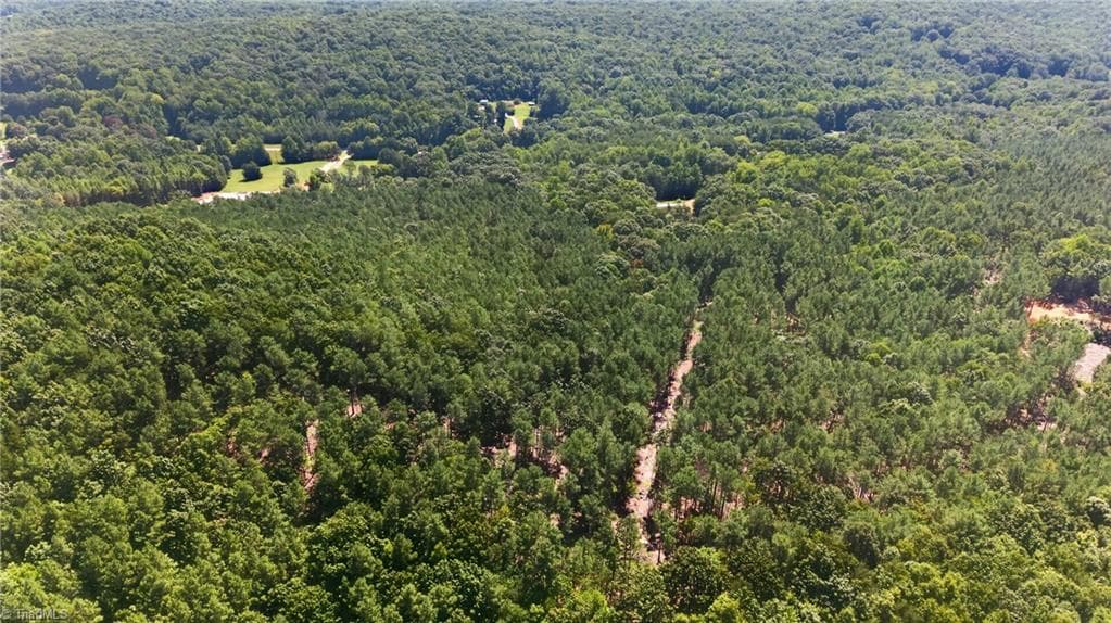Unimproved Land at 0 Jennings Road, Randleman NC 27317, photo 11 of 35