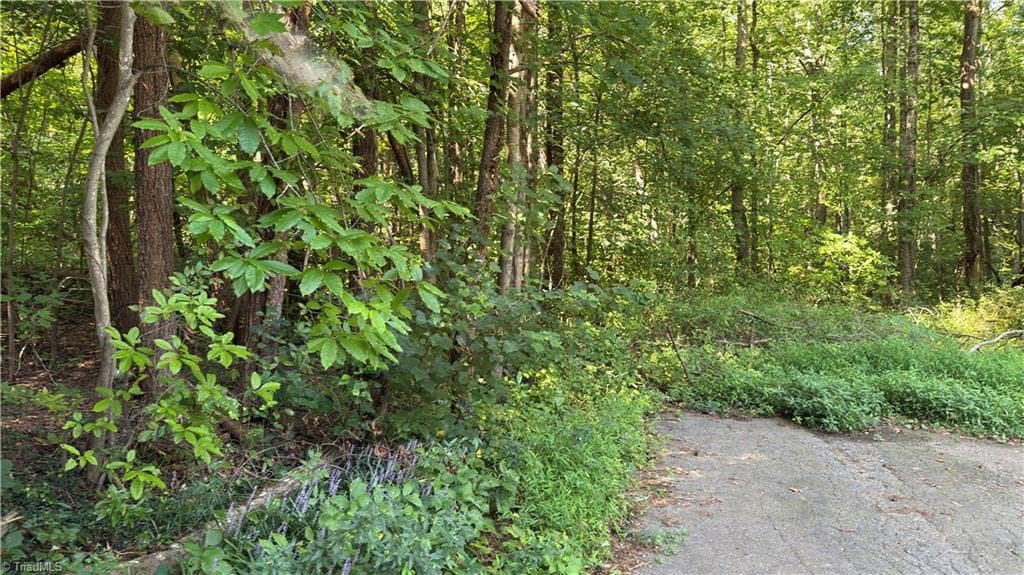 00 Sherry Lane, Yadkinville NC 27055