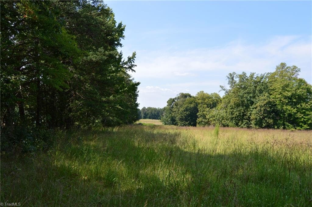 Agriculture at 338-278 Hancock Road, Reidsville NC 27320, photo 33 of 49