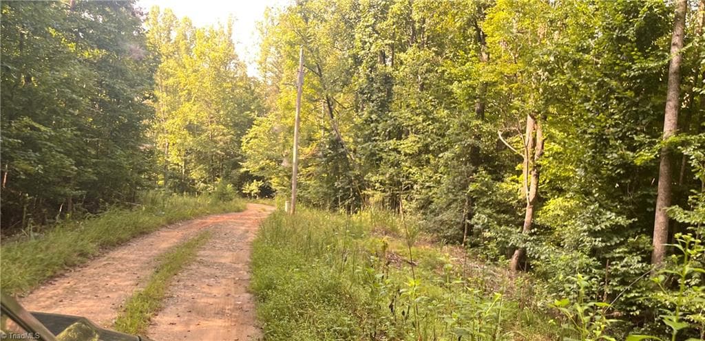 1170 Timber Ridge Road, Westfield NC 27053