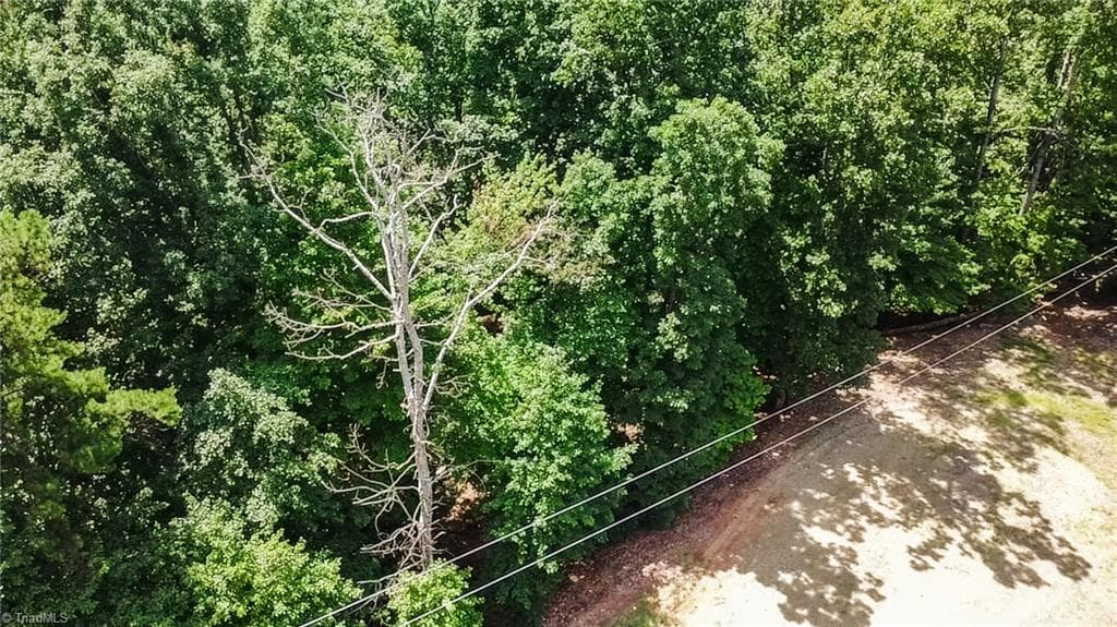 Unimproved Land at TBD Timber Ridge Road, McGrady NC 28649, McGrady, photo 23 of 23