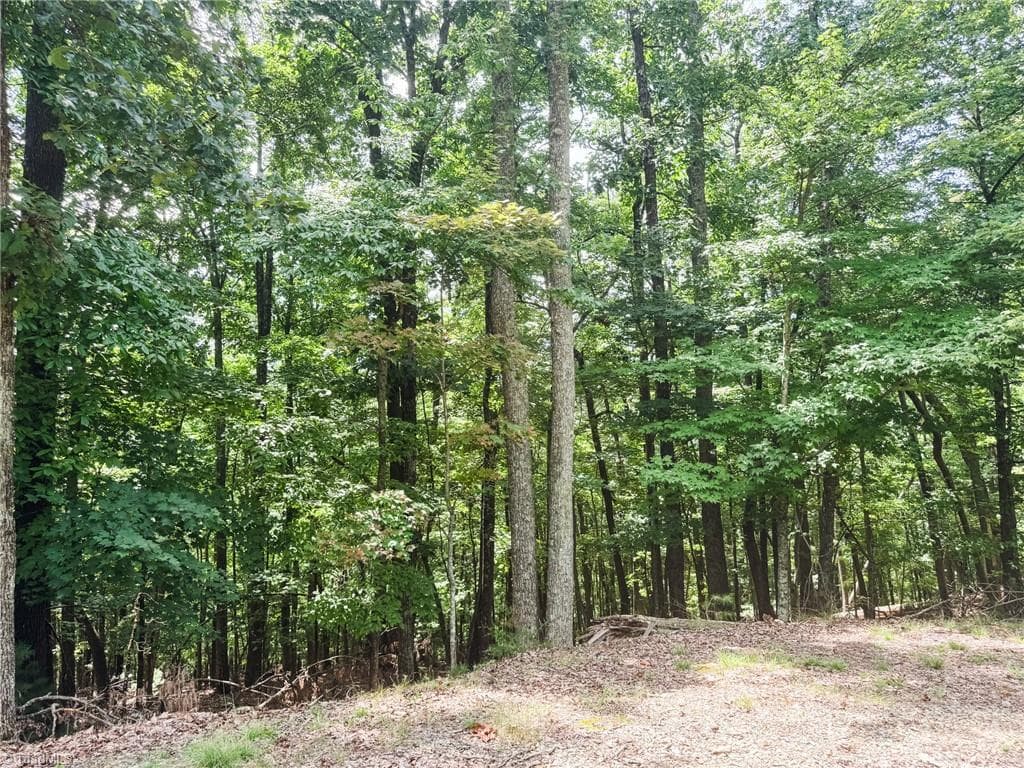 Unimproved Land at TBD Timber Ridge Road, McGrady NC 28649, McGrady, photo 2 of 23