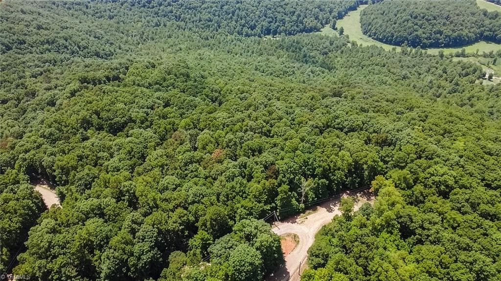 Unimproved Land at TBD Timber Ridge Road, McGrady NC 28649, McGrady, photo 6 of 23