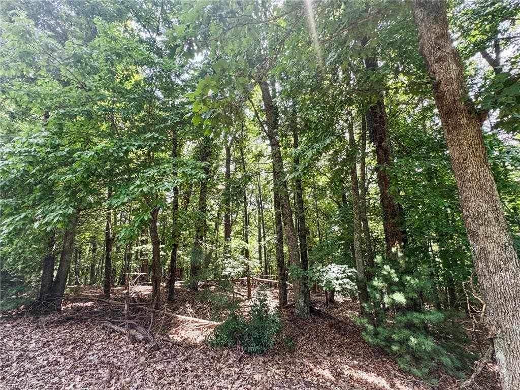 Unimproved Land at TBD Timber Ridge Road, McGrady NC 28649, McGrady, photo 13 of 23