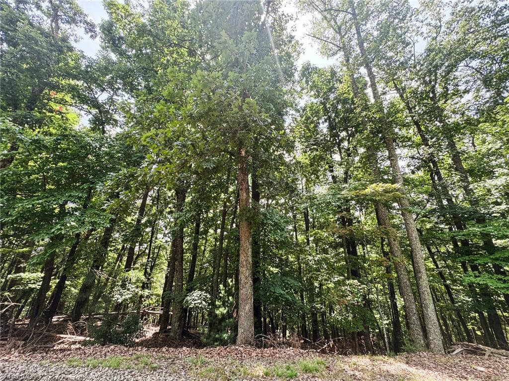 Unimproved Land at TBD Timber Ridge Road, McGrady NC 28649, McGrady, photo 7 of 23