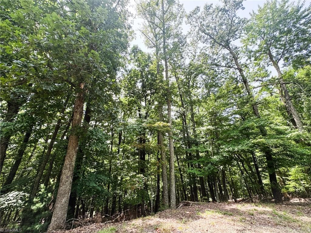 Unimproved Land at TBD Timber Ridge Road, McGrady NC 28649, McGrady, photo 5 of 23