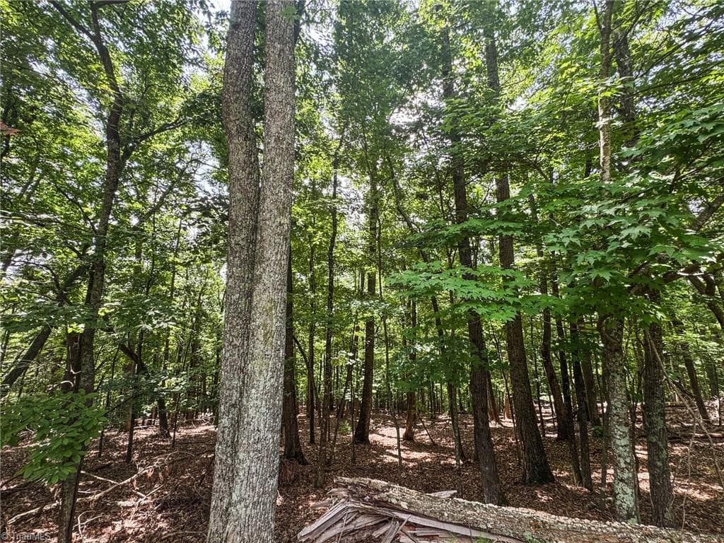 Unimproved Land at TBD Timber Ridge Road, McGrady NC 28649, McGrady, photo 10 of 23