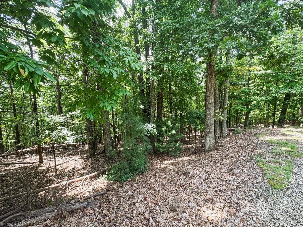 Unimproved Land at TBD Timber Ridge Road, McGrady NC 28649, McGrady, photo 14 of 23