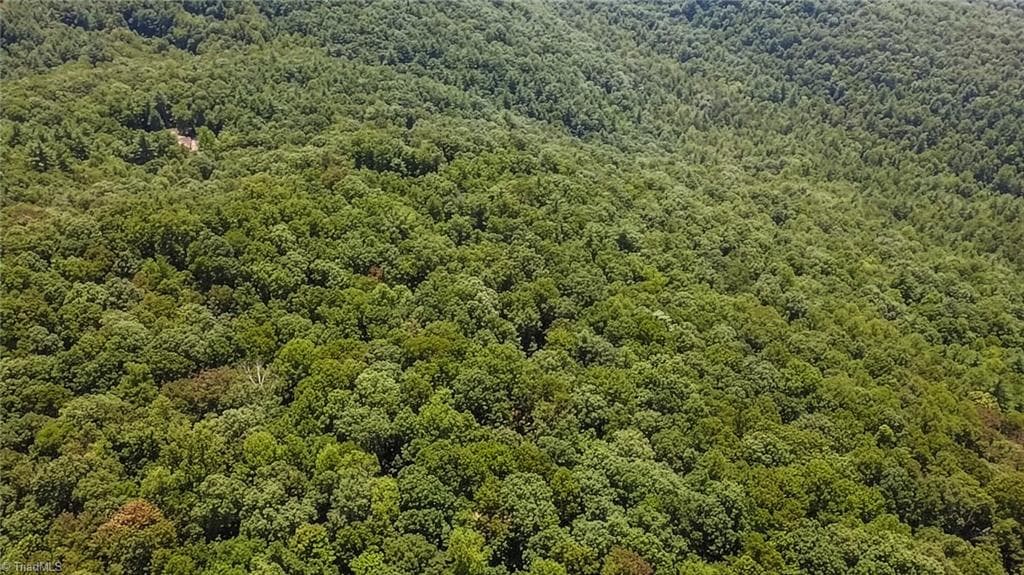 Unimproved Land at TBD Timber Ridge Road, McGrady NC 28649, McGrady, photo 18 of 23