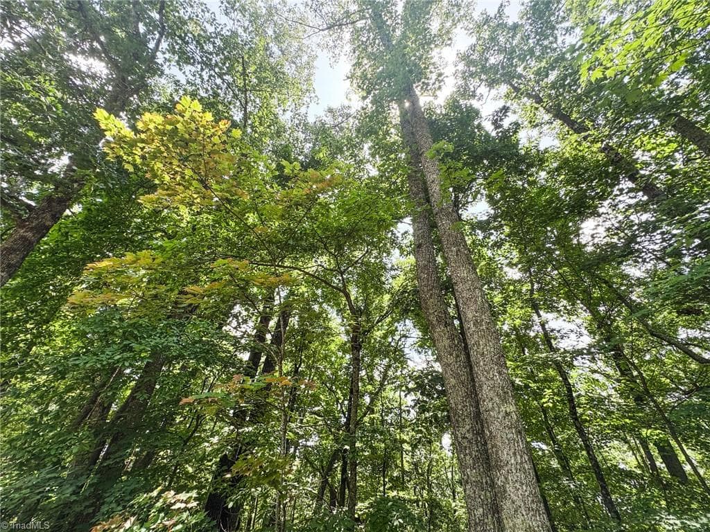 Unimproved Land at TBD Timber Ridge Road, McGrady NC 28649, McGrady, photo 11 of 23