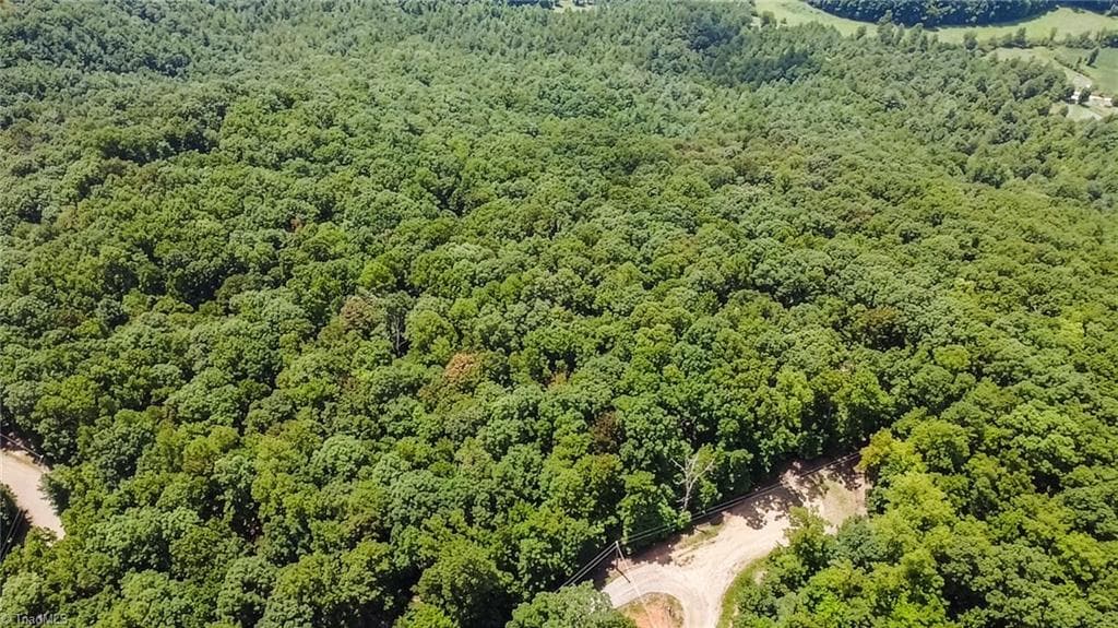 Unimproved Land at TBD Timber Ridge Road, McGrady NC 28649, McGrady, photo 19 of 23