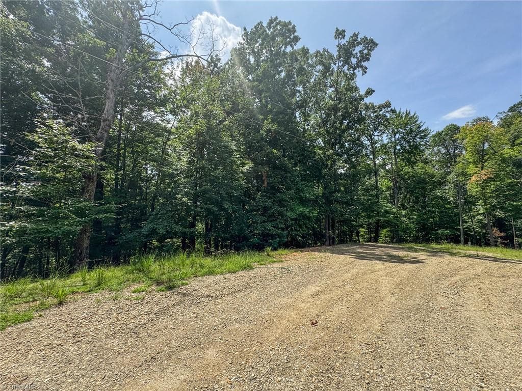 Unimproved Land at TBD Timber Ridge Road, McGrady NC 28649, McGrady, photo 4 of 23