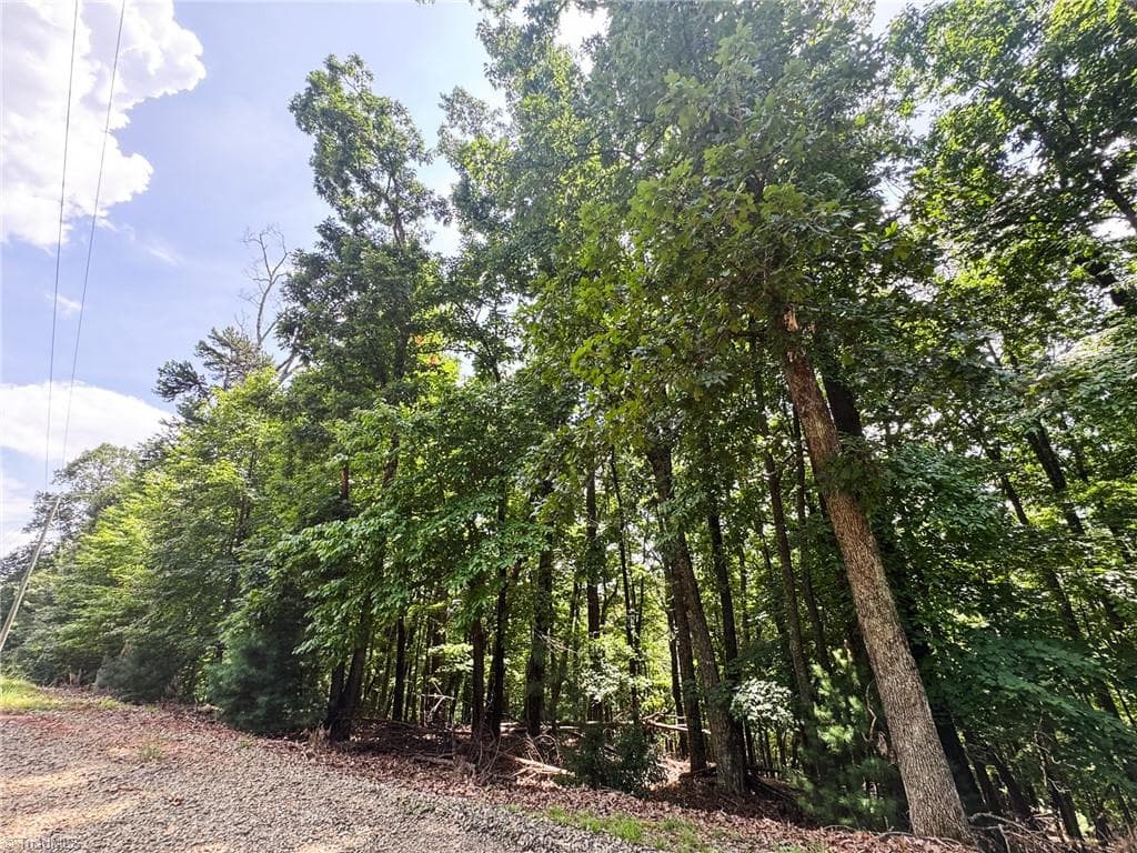 Unimproved Land at TBD Timber Ridge Road, McGrady NC 28649, McGrady, photo 8 of 23
