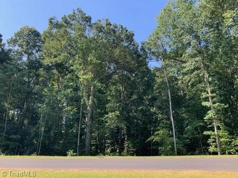 7521 Whisper Hollow Lane, Lewisville NC 27023