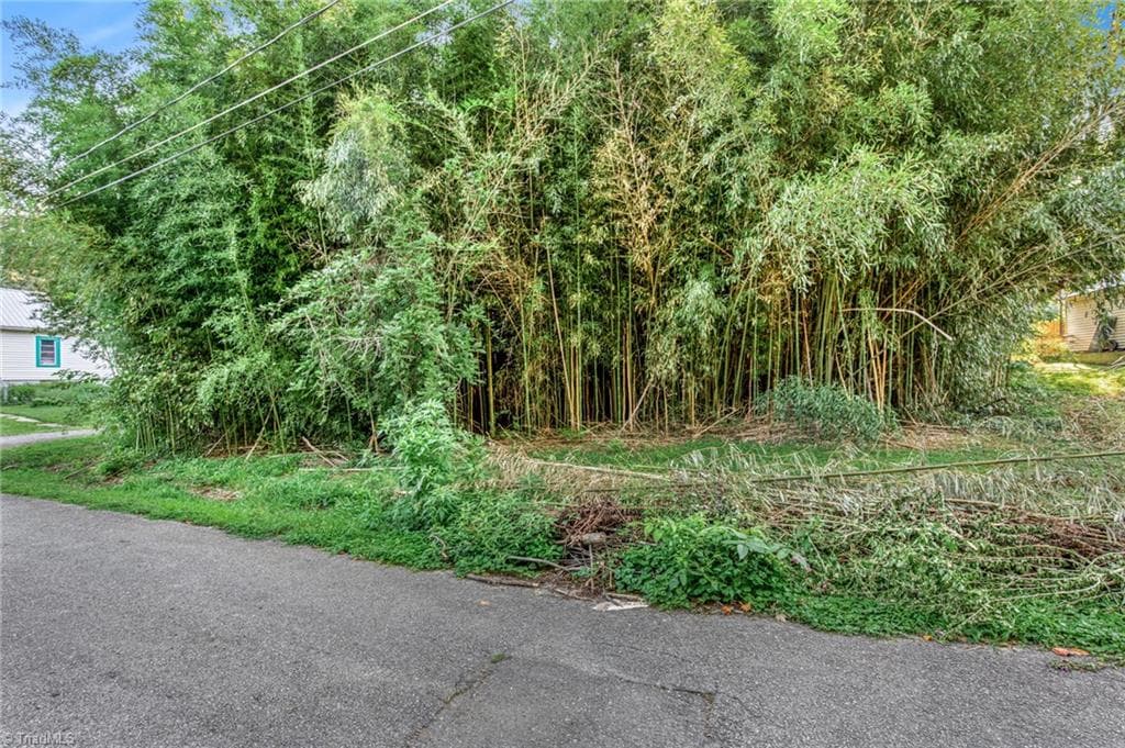 Single Family Residence at TBD Merrimac Street, Winston-Salem NC 27105, Winston-Salem, photo 3 of 16