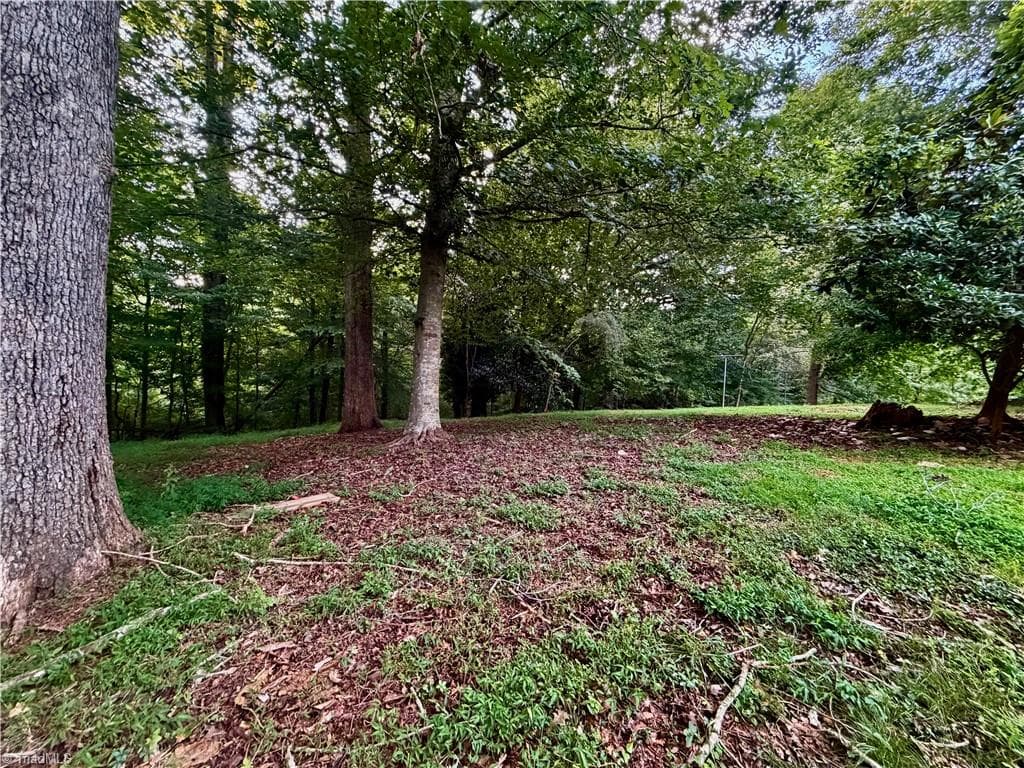Backyard - 208 Harris Avenue, Elkin NC 28621, Elkin