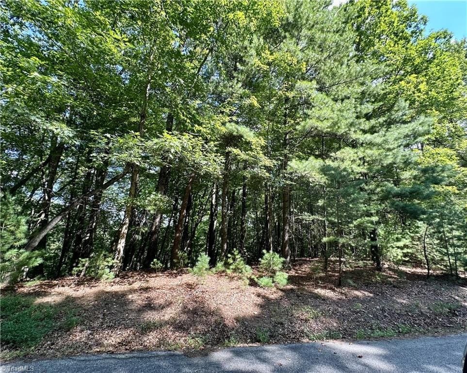 Single Family Residence at LOT 2 Sutters Ridge Road, McGrady NC 28649, photo 3 of 14