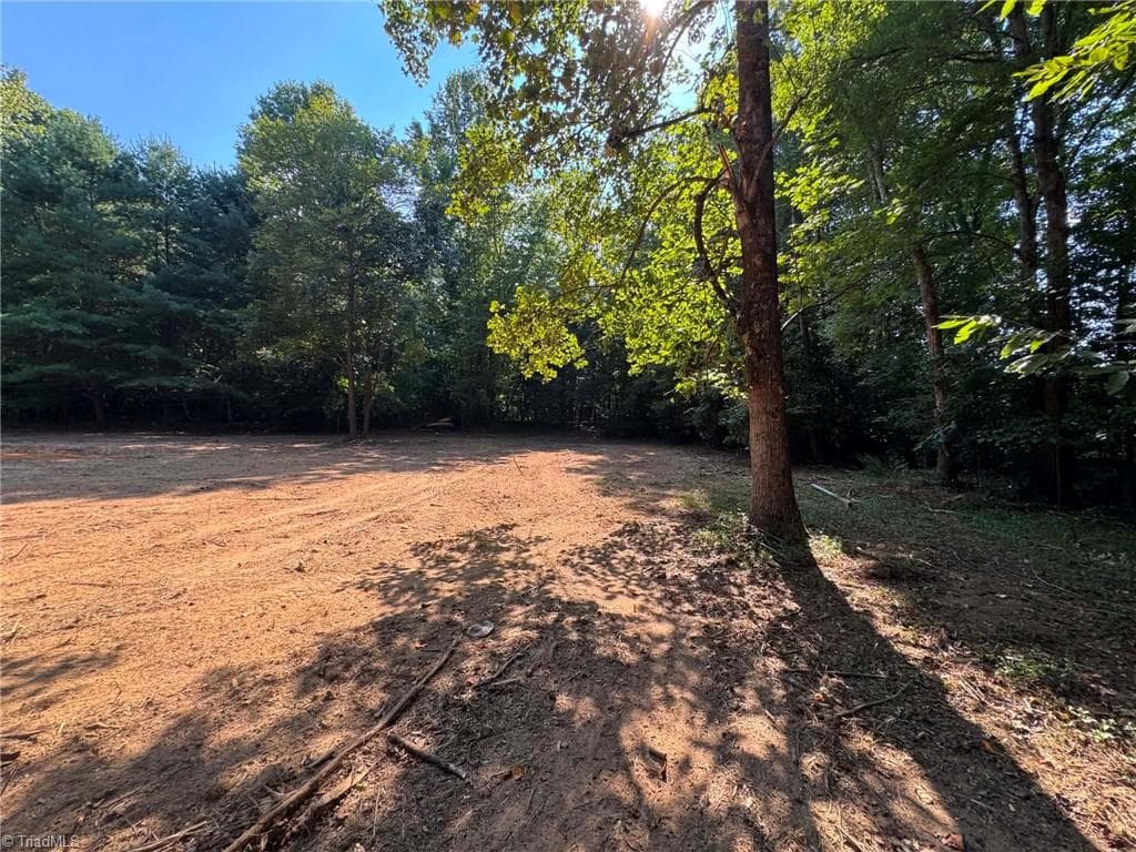 Single Family Residence at 1036 Antler Run Drive, Jonesville NC 28642, Jonesville, photo 10 of 20