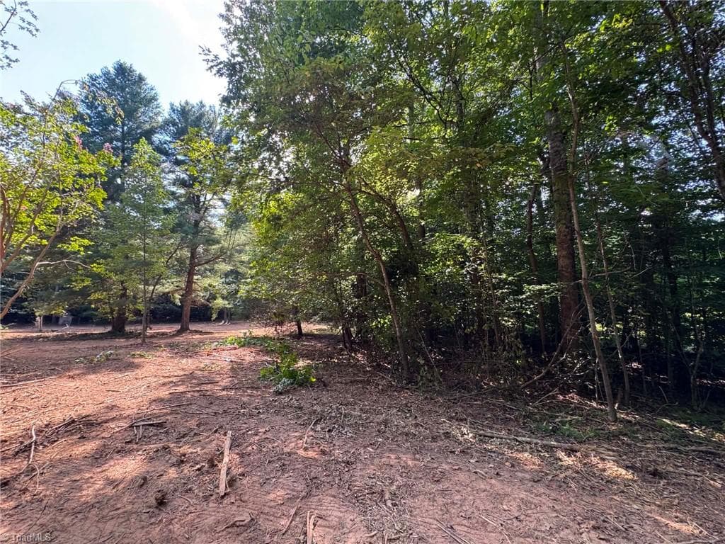 Single Family Residence at 1036 Antler Run Drive, Jonesville NC 28642, Jonesville, photo 11 of 20