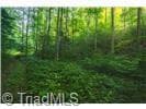 Unimproved Land at 4157 Kirby Mountain Road, Lenoir NC 28645, Lenoir, photo 12 of 23