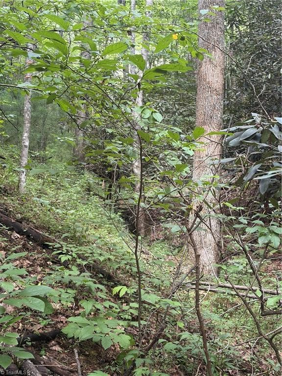 TBD Old Nc Highway 16, Millers Creek NC 28651