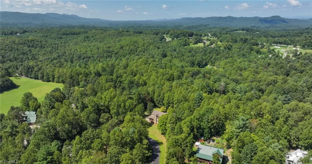 Stick/Site Built at 789 W Meadow Parkway, Moravian Falls NC 28654, photo 48 of 50