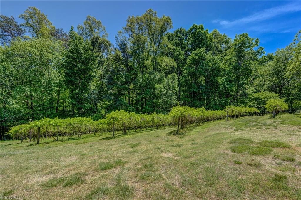 Stick/Site Built at 771 NC Highway 150, Reidsville NC 27320, Reidsville, photo 89 of 100