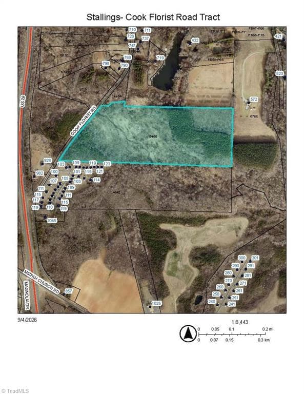 Unimproved Land at 0000 Cook Florist Road, Reidsville NC 27320, photo 7 of 10