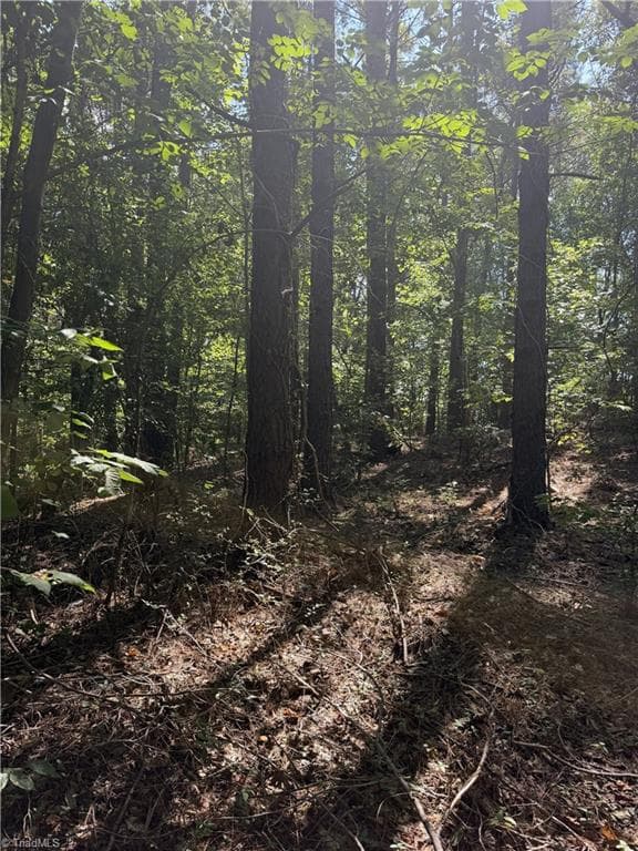 Unimproved Land at 0000 Cook Florist Road, Reidsville NC 27320, photo 3 of 10