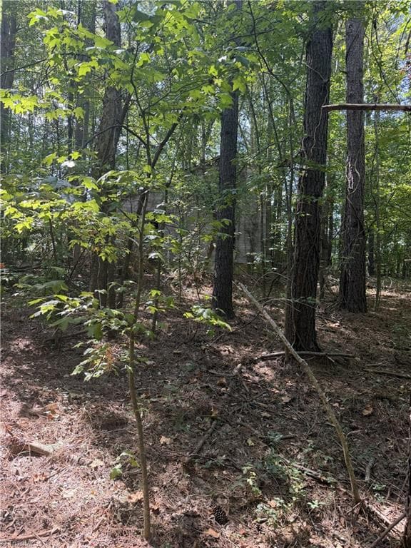 Unimproved Land at 0000 Cook Florist Road, Reidsville NC 27320, photo 4 of 10