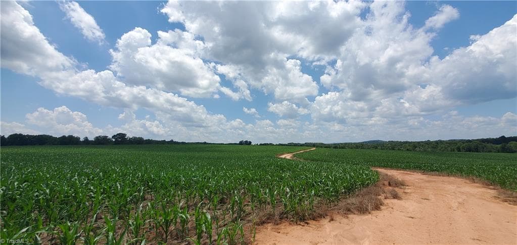 Unimproved Land at 3641 US Highway 21, Hamptonville NC 27020, photo 23 of 35