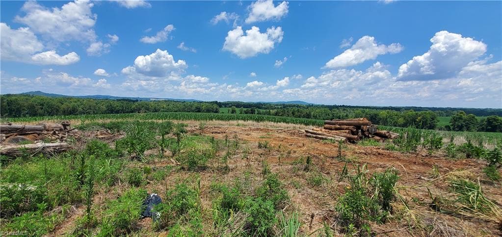 Unimproved Land at 3641 US Highway 21, Hamptonville NC 27020, photo 6 of 35