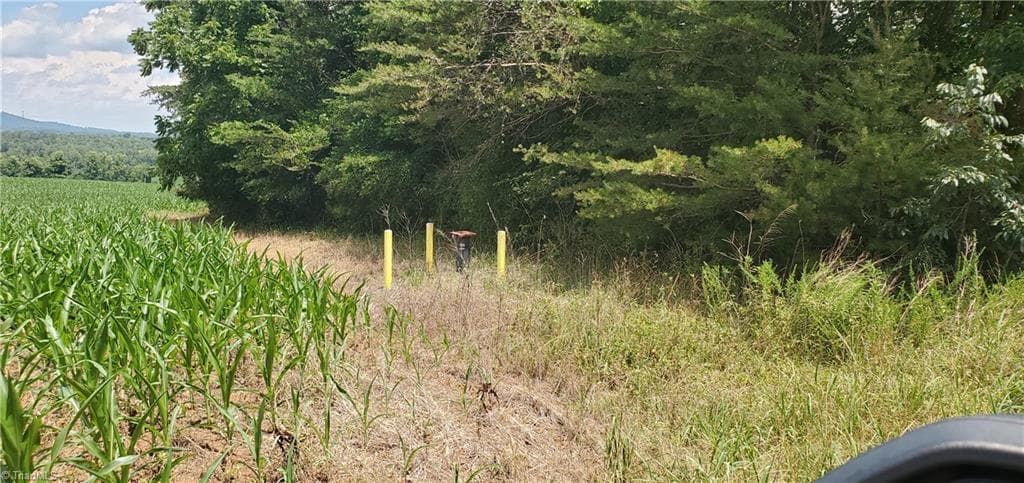 Unimproved Land at 3641 US Highway 21, Hamptonville NC 27020, photo 13 of 35