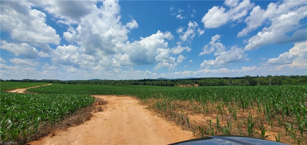 Unimproved Land at 3641 US Highway 21, Hamptonville NC 27020, photo 22 of 35