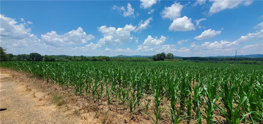 Unimproved Land at 3641 US Highway 21, Hamptonville NC 27020, photo 9 of 35