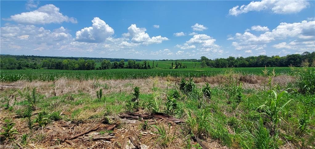 Unimproved Land at 3641 US Highway 21, Hamptonville NC 27020, photo 10 of 35