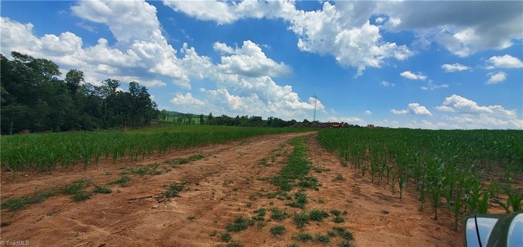 Unimproved Land at 3641 US Highway 21, Hamptonville NC 27020, photo 31 of 35