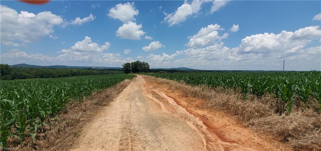 Unimproved Land at 3641 US Highway 21, Hamptonville NC 27020, photo 4 of 35