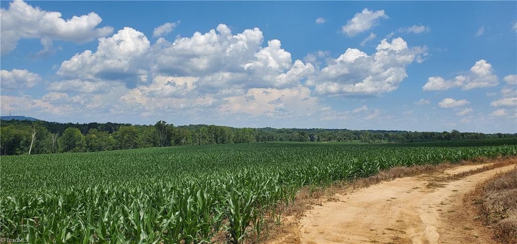 Unimproved Land at 3641 US Highway 21, Hamptonville NC 27020, photo 25 of 35
