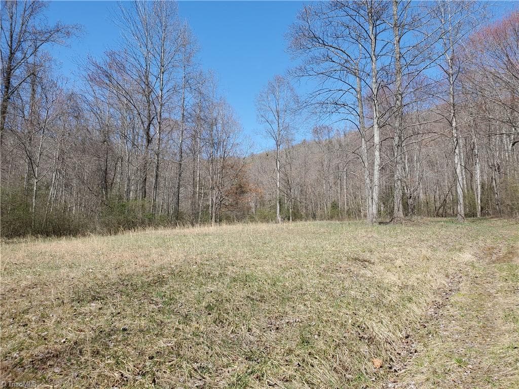 Unimproved Land at 8057 NC Highway 16, Moravian Falls NC 28654, photo 23 of 48