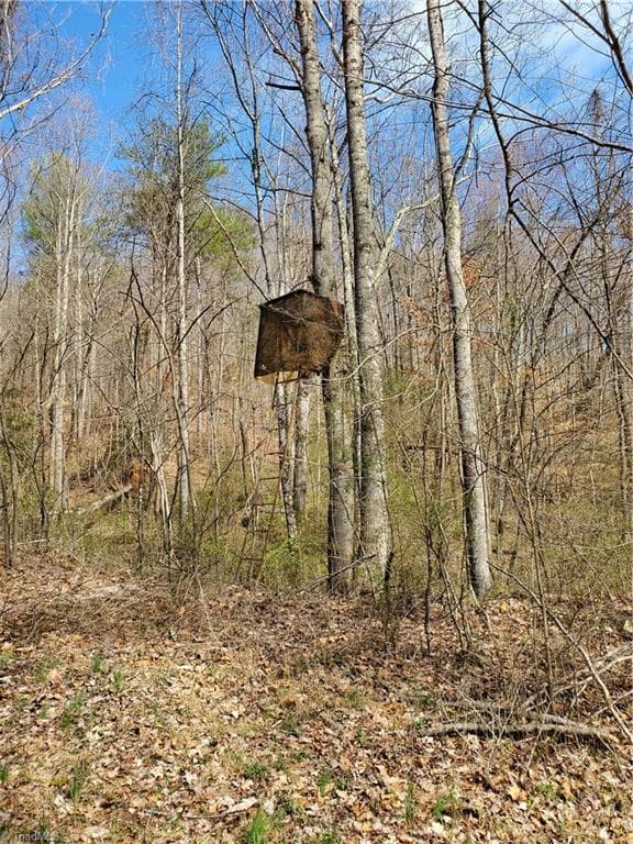 Unimproved Land at 8057 NC Highway 16, Moravian Falls NC 28654, photo 27 of 48