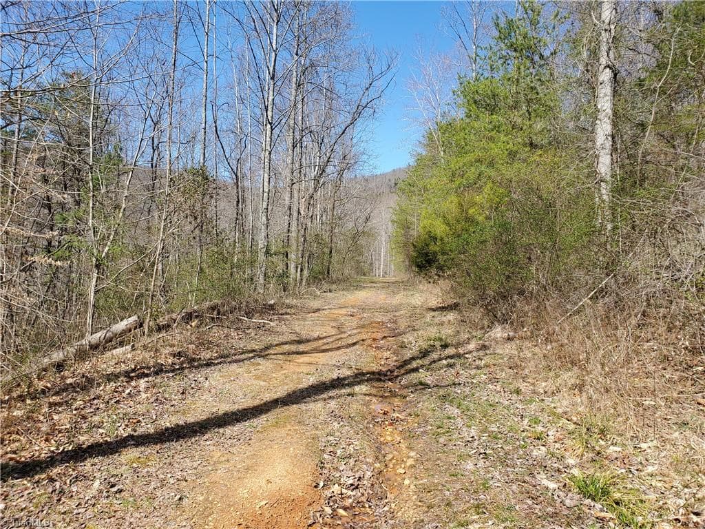 Unimproved Land at 8057 NC Highway 16, Moravian Falls NC 28654, photo 2 of 48