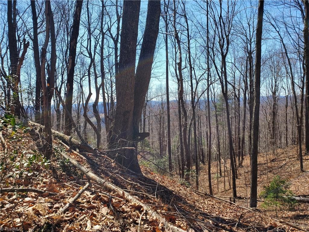 Unimproved Land at 8057 NC Highway 16, Moravian Falls NC 28654, photo 6 of 48