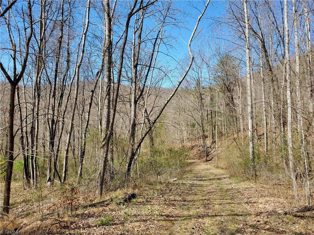 Unimproved Land at 8057 NC Highway 16, Moravian Falls NC 28654, photo 13 of 48