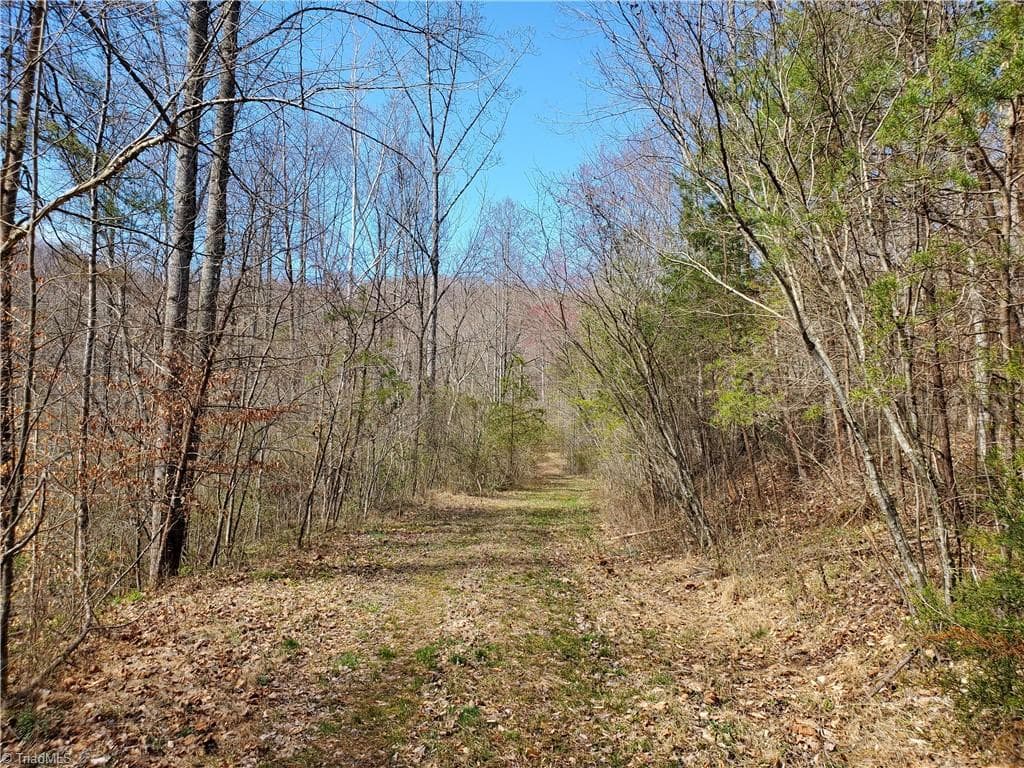Unimproved Land at 8057 NC Highway 16, Moravian Falls NC 28654, photo 17 of 48