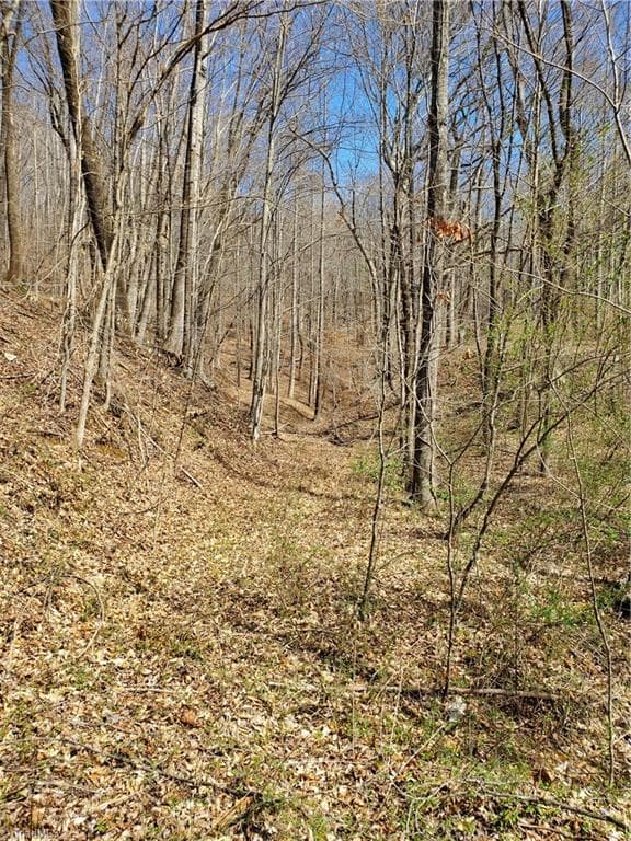 Unimproved Land at 8057 NC Highway 16, Moravian Falls NC 28654, photo 16 of 48