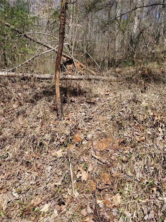 Unimproved Land at 8057 NC Highway 16, Moravian Falls NC 28654, photo 12 of 48