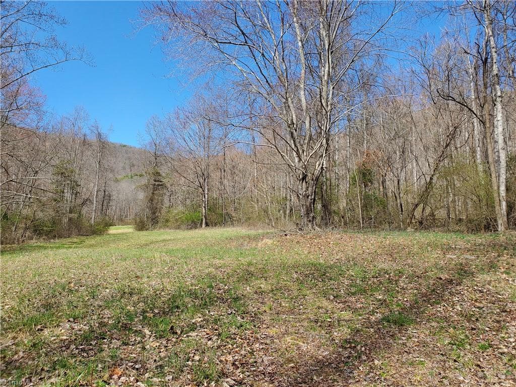 Unimproved Land at 8057 NC Highway 16, Moravian Falls NC 28654, photo 26 of 48