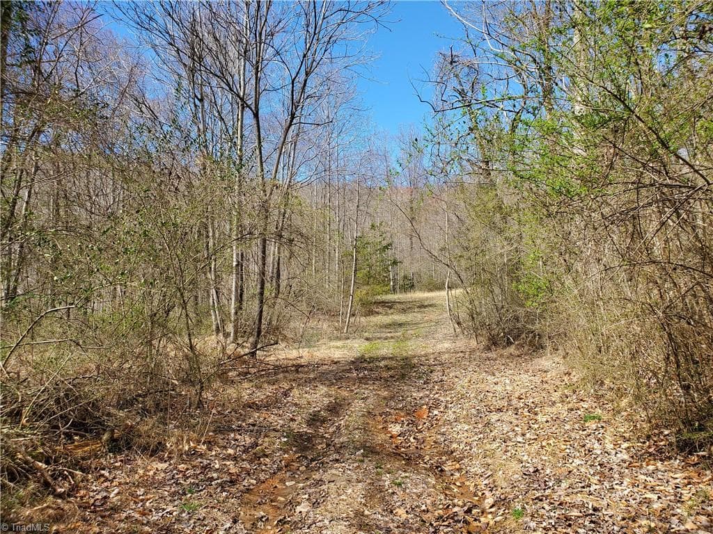 Unimproved Land at 8057 NC Highway 16, Moravian Falls NC 28654, photo 22 of 48